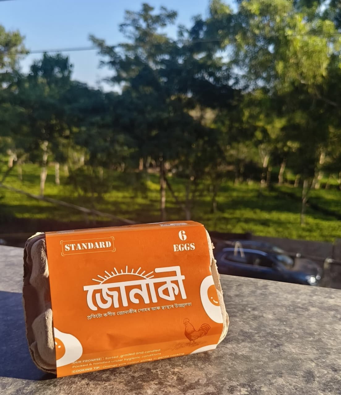 Eggs being packed for delivery